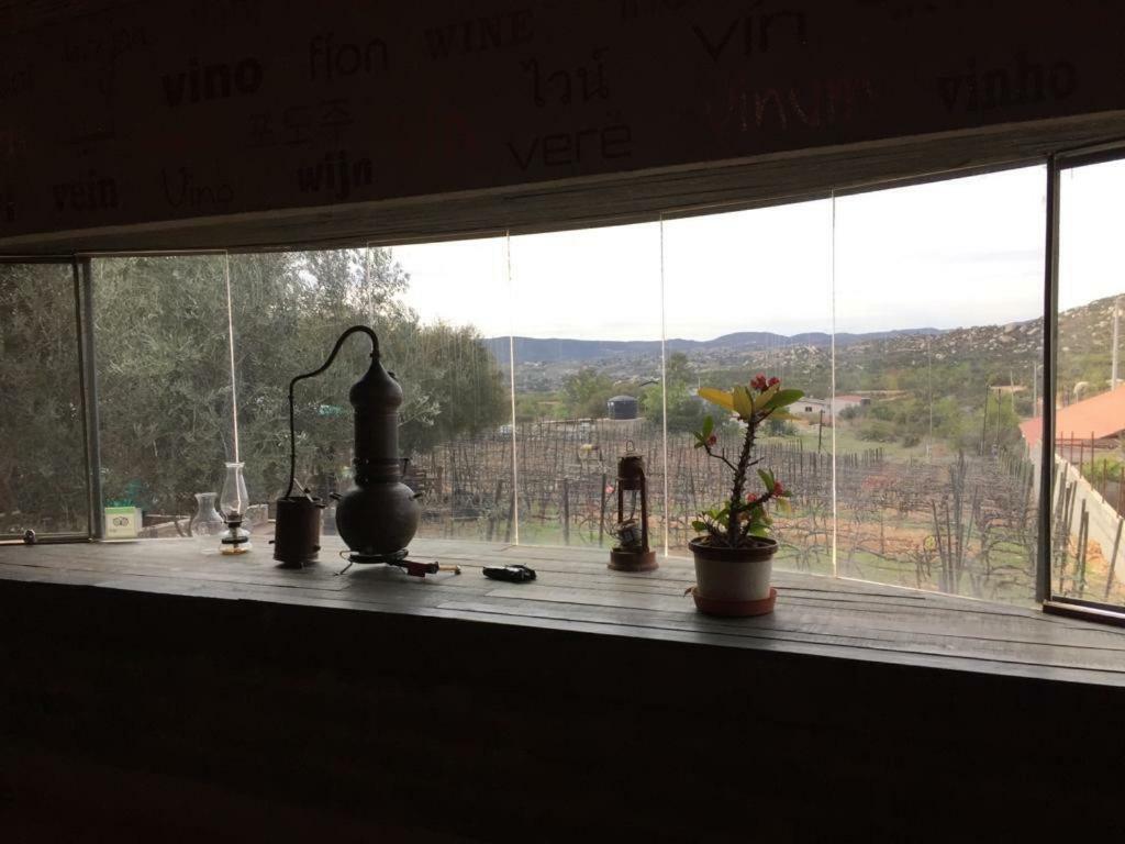 Guest House Nativo - Charming, Cozy & Affordable Valle de Guadalupe Kültér fotó
